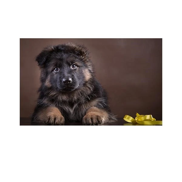    پادری طرح حیوانات کد M35M001-MA0075 سایز 76x46 سانتی متر