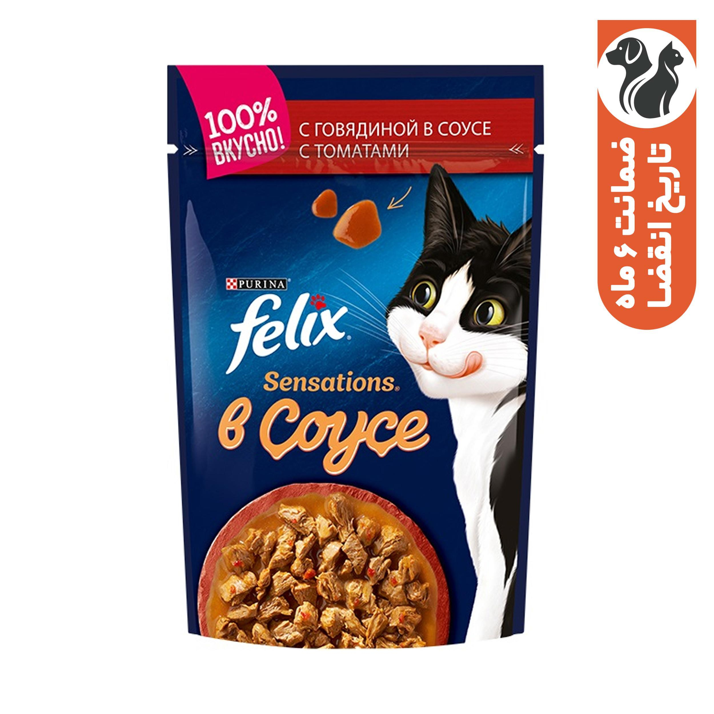 پوچ گربه فلیکس مدل طعم گوشت گوساله با گوجه وزن 85 گرم