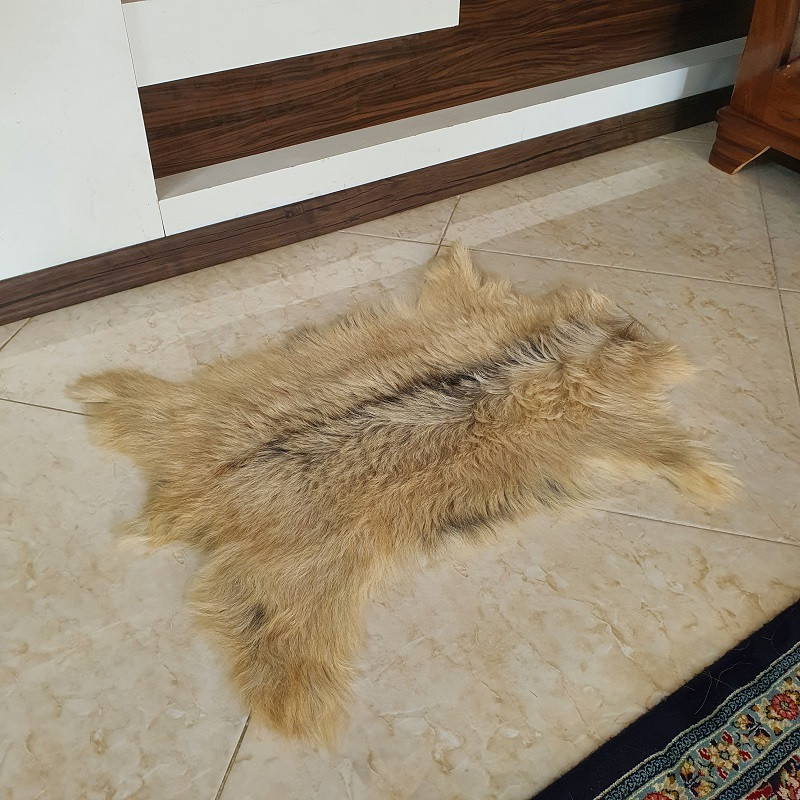فرش پوست مدل Nixo 8144