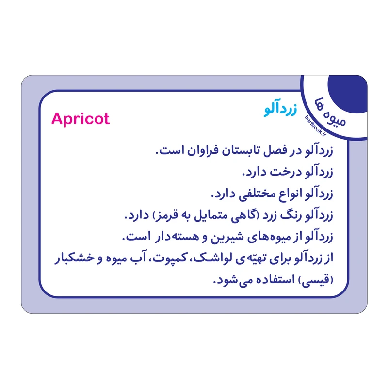 عکس شماره 3