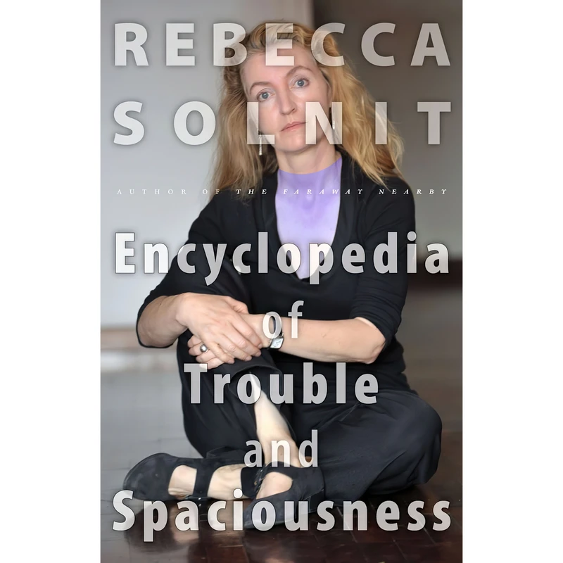 کتاب The Encyclopedia of Trouble and Spaciousness اثر Rebecca Solnit انتشارات Trinity University Press