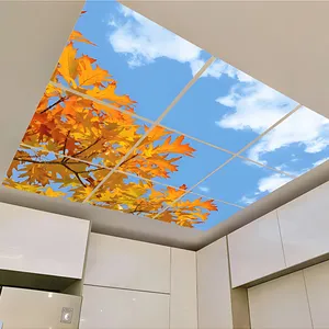تایل سقفی آسمان مجازی مدل SK-424-3x3 سایز 60x60 مجموعه نه عددی