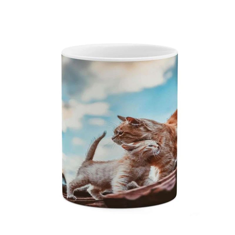 ماگ کاکتی مدل گربه کد mgh16815