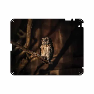 MAHOOT Owl Cover Sticker for Apple iPad 2 2011 A1397