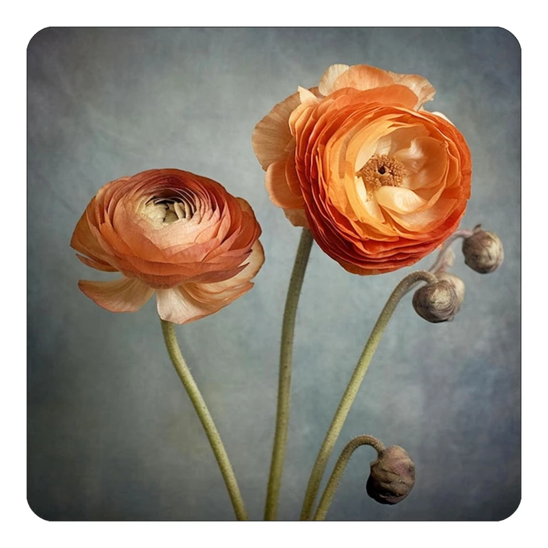 مگنت کاکتی طرح نقاشی رنگ روغن مدل mp73356