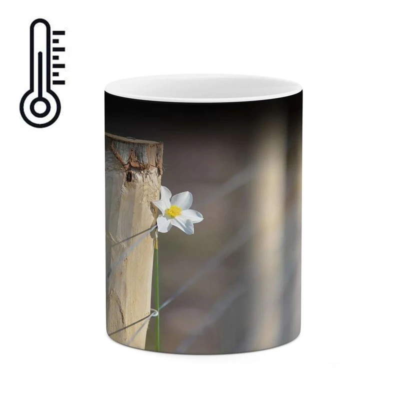 ماگ حرارتی کاکتی مدل فانتزی کد mgh16648