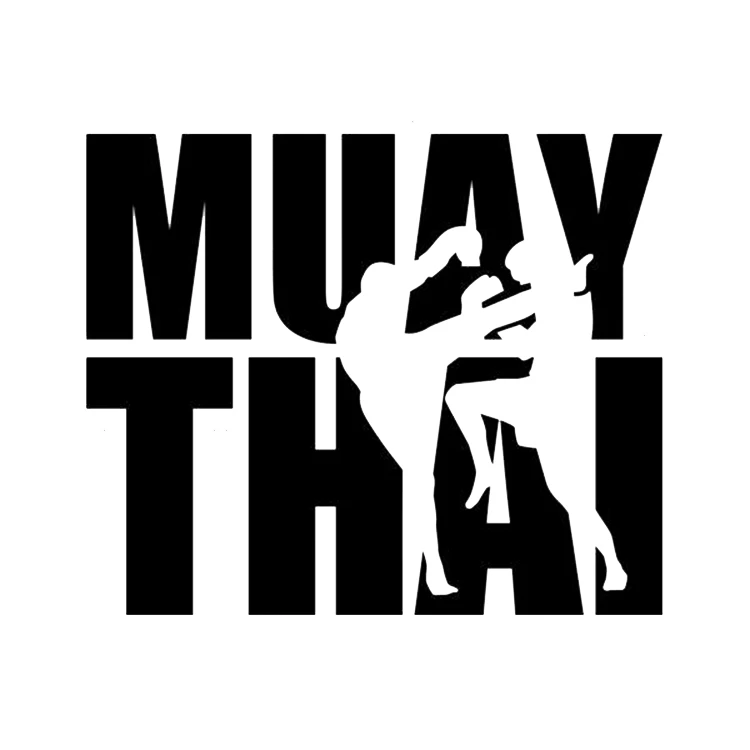 استیکر پارچه و لباس پاد آفرین مدل موی تای کد 3196