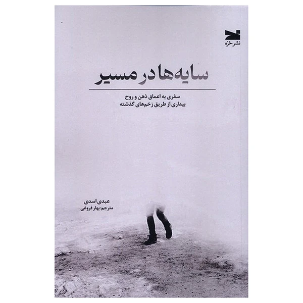 کتاب سايه ها در مسير اثر عبدی اسدی ترجمه بهار فروغی انتشارات خزه