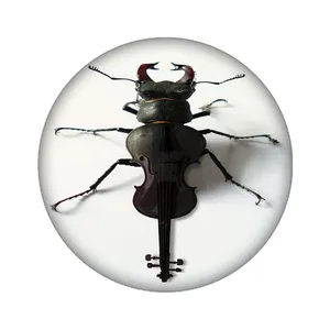 زیر لیوانی مدل ویالن کد 981