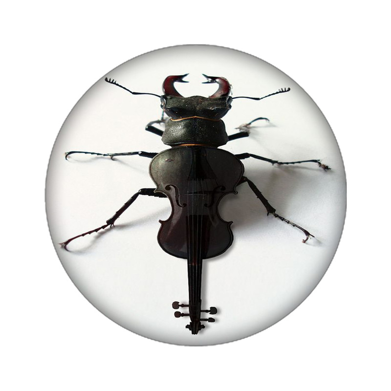 استیکر تزئینی موبایل مدل حشره کد 3981