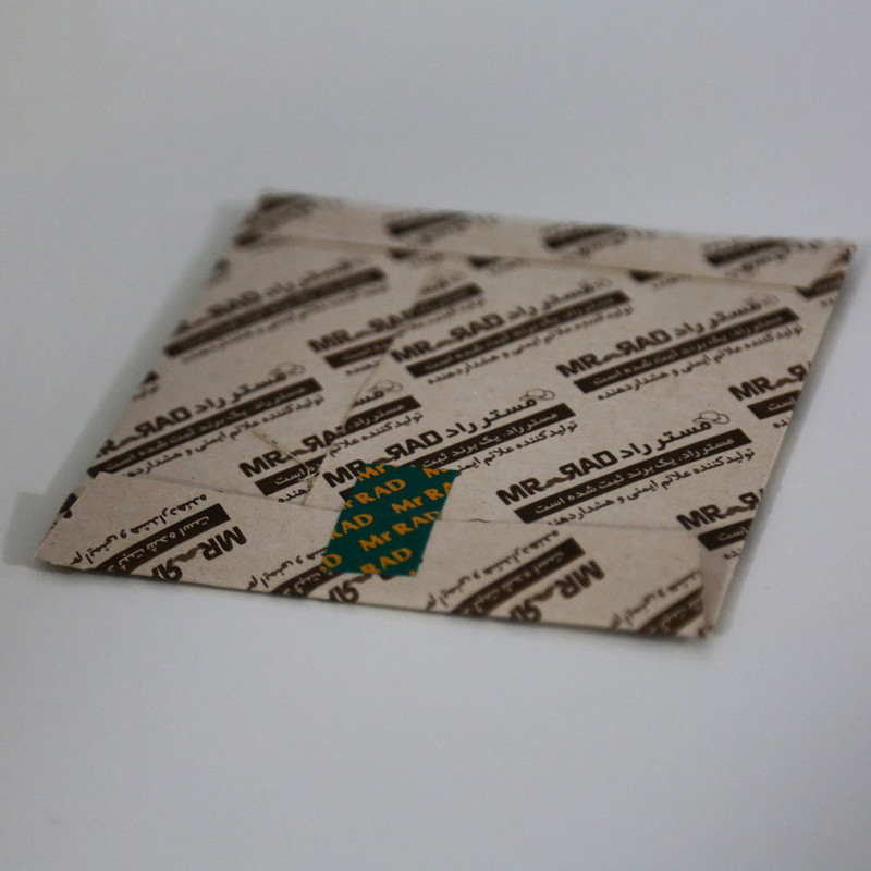 گوشواره زنانه مستر راد مدل ه دو چشم