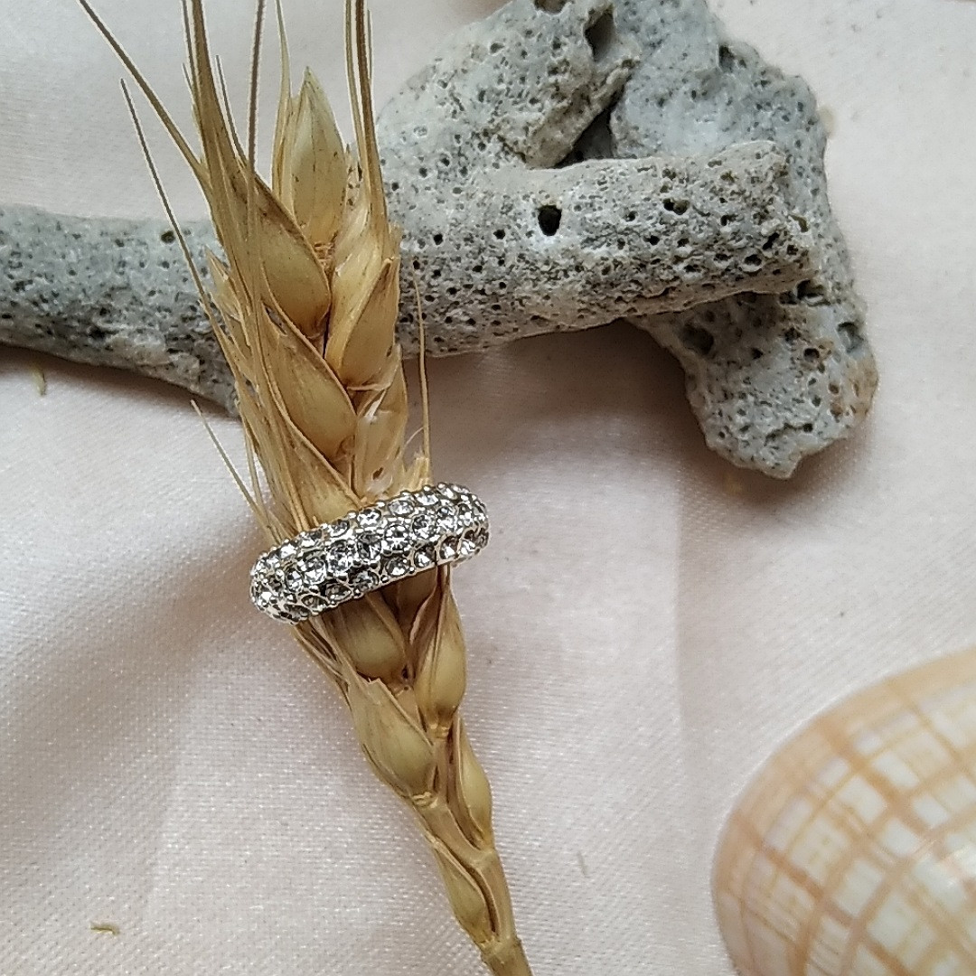 پیرسینگ گوش زنانه اکسسورایز مدل نگینی کد H86