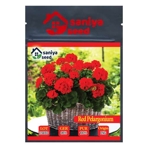 بذر گل شمعدانی قرمز سانیا سید مدلSH1