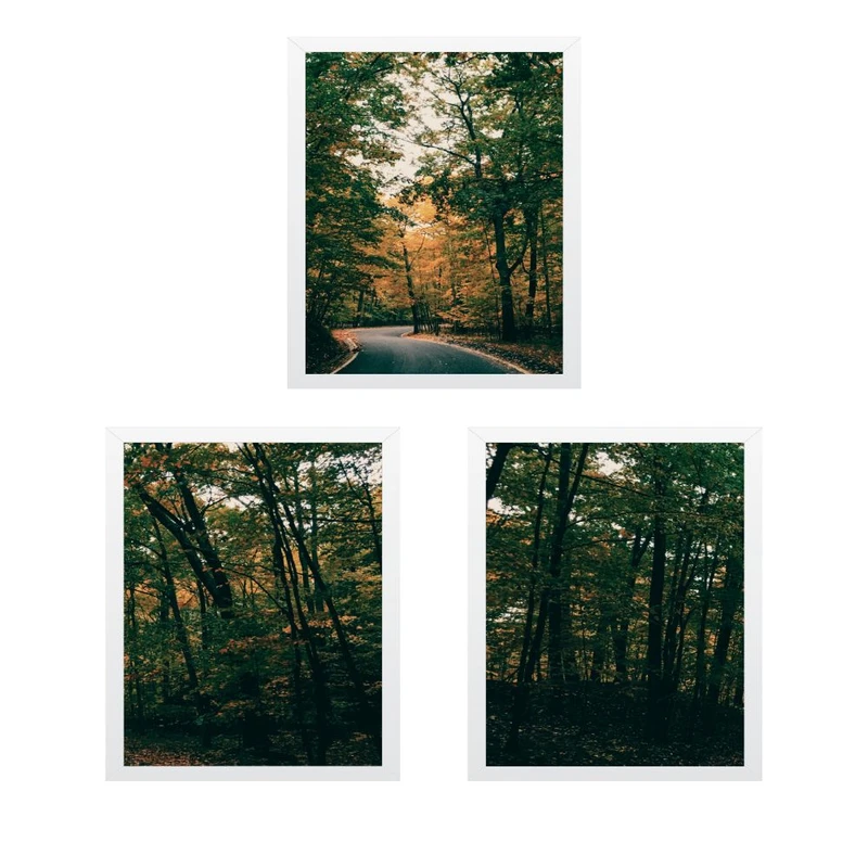 تابلو مدل مستر پاییزی جاده در جنگل مجموعه 3 عددی
