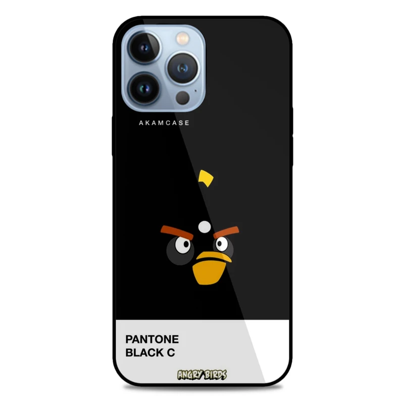 کاور آکام مدل AMC-WA13PROMAX-ANGRY BIRDS9 مناسب برای گوشی موبایل اپل iPhone 13 Pro Max