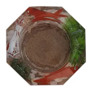زیرسیگاری مدل آکواریومی