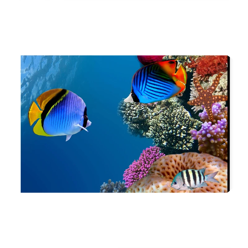 تابلو شاسی عرش مدل فانتزی ماهی کد As1970