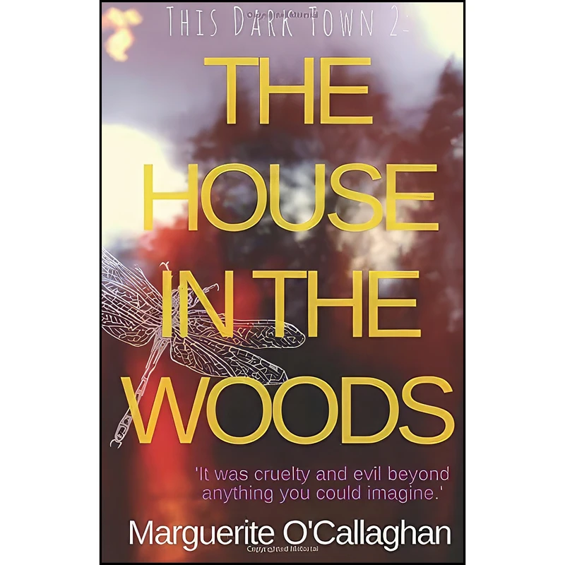 کتاب This Dark Town II اثر Marguerite O Callaghan انتشارات تازه ها