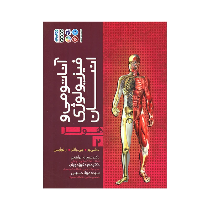 کتاب آناتومی و فیزیولوژی انسان هولز اثر جمعی از نویسندگان انتشارات حتمی جلد 2