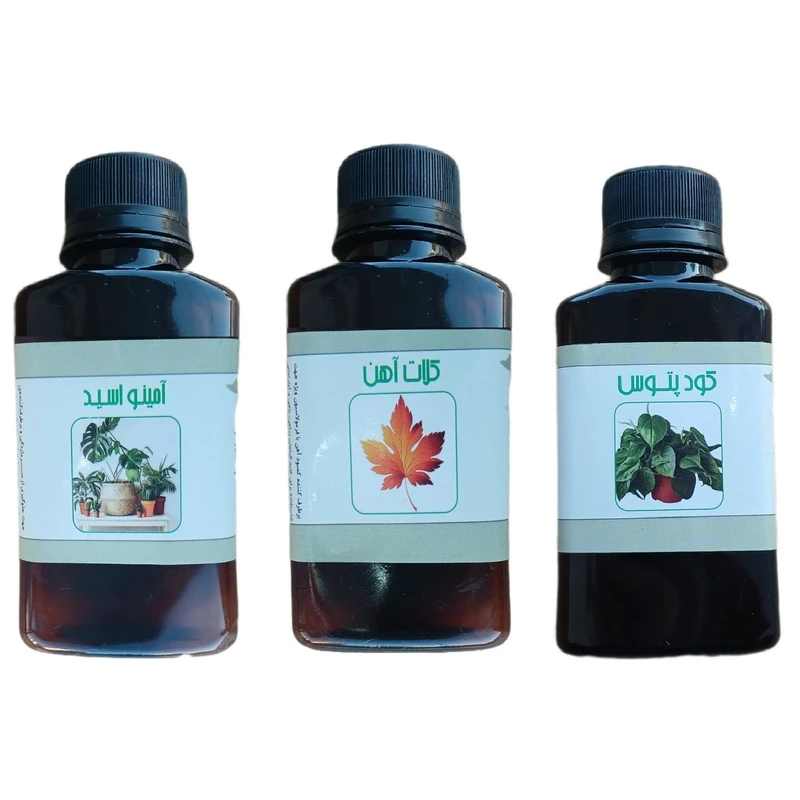 کود مایع امینو اسید و کلات آهن و پتوس مدل life drop حجم 110 میلی لیتر بسته 3 عددی