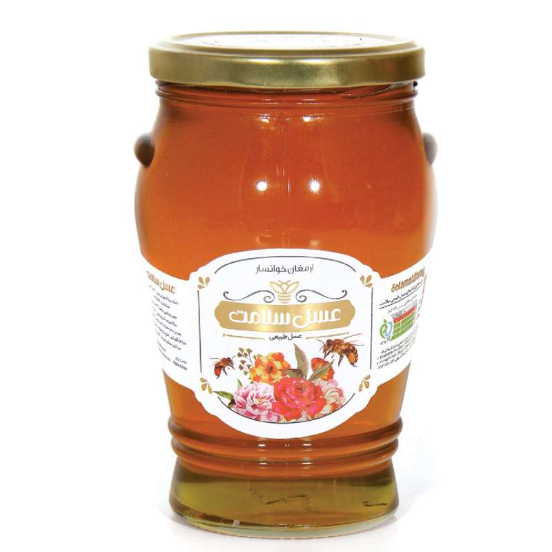عسل خوانسار خمره ای سلامت -800 گرم