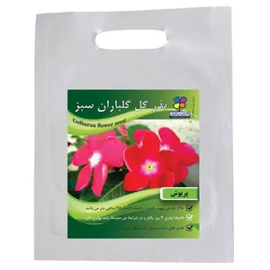 بذر گل پریوش شرکت گلباران سبز گیلان مدل BP بسته 24 عددی