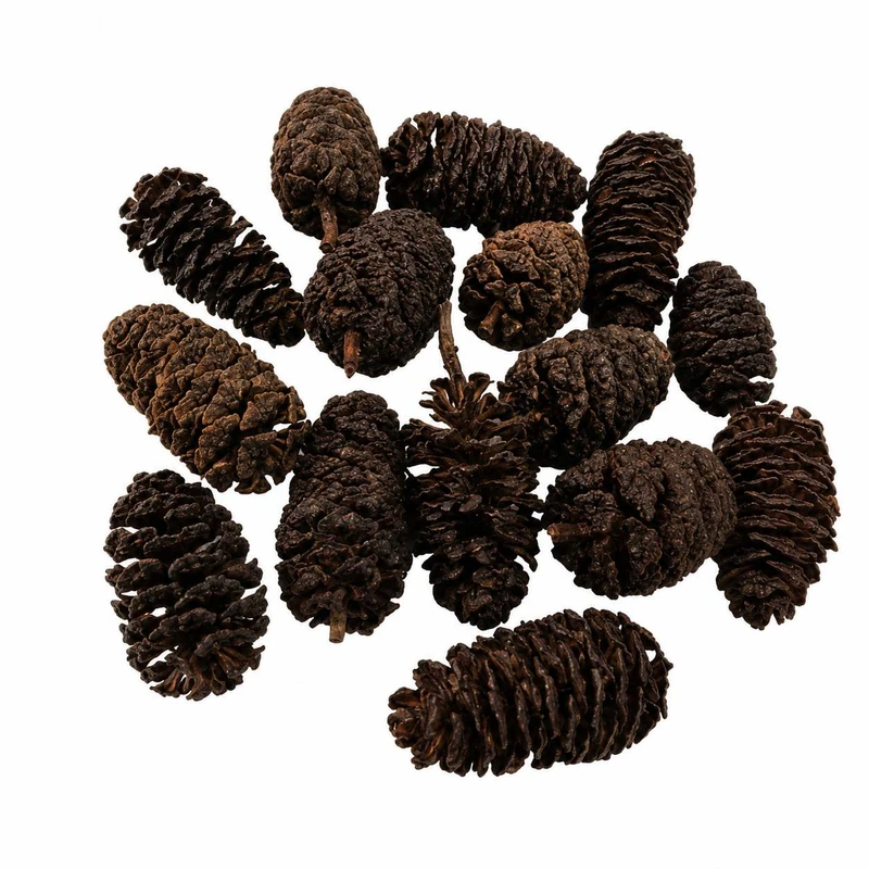 میوه تزئینی مدل توسکا بسته 25 عددی