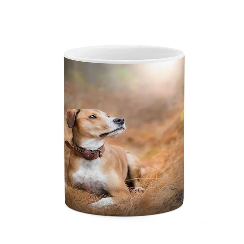 ماگ کاکتی مدل سگ کد mgh14280