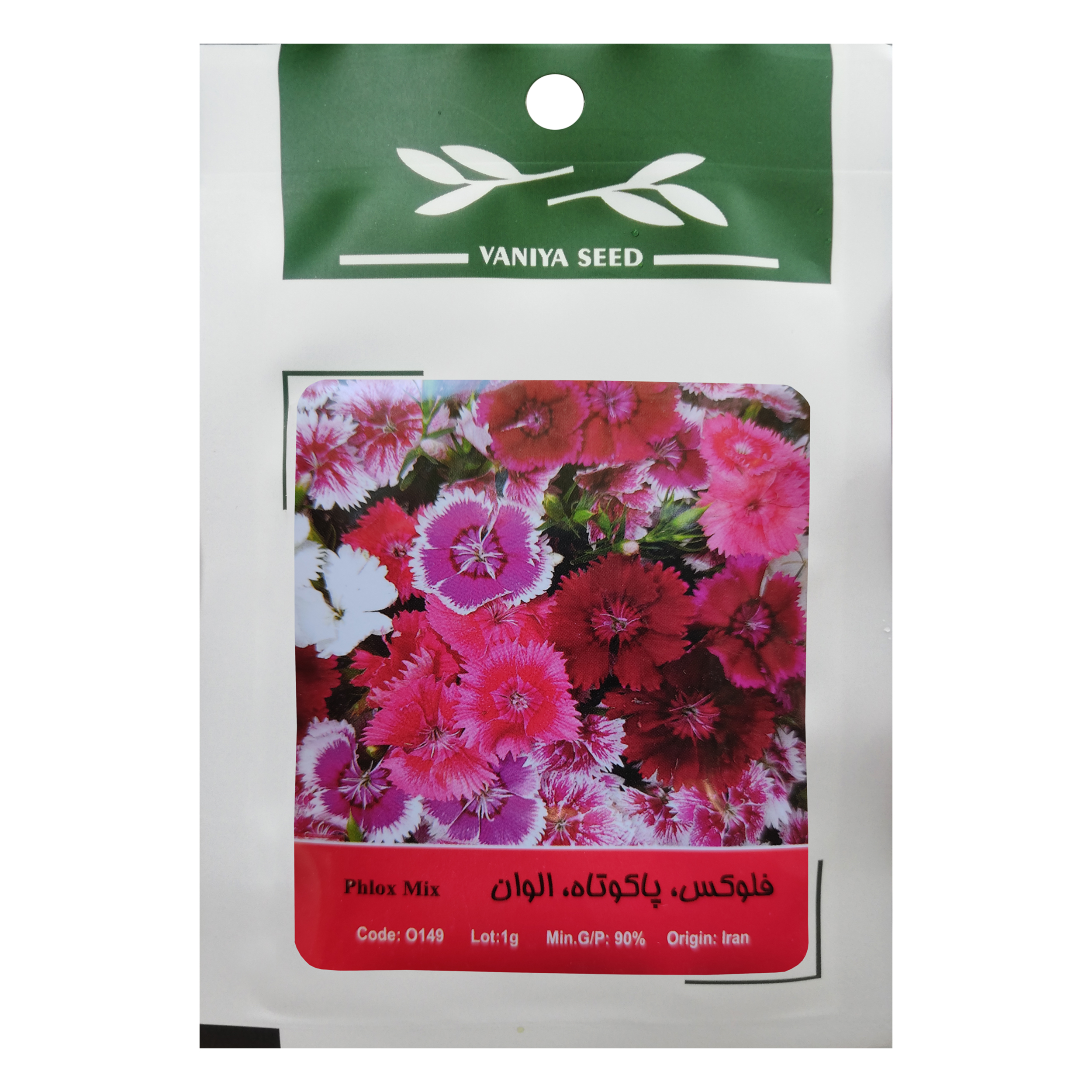 بذر گل فلوکس پاکوتاه الوان وانیا سید مدل O149