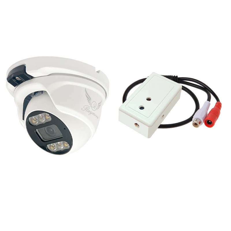 دوربین مداربسته AHD رایمون مدل 2 مگاپیکسل کد H52 به همراه میکروفون