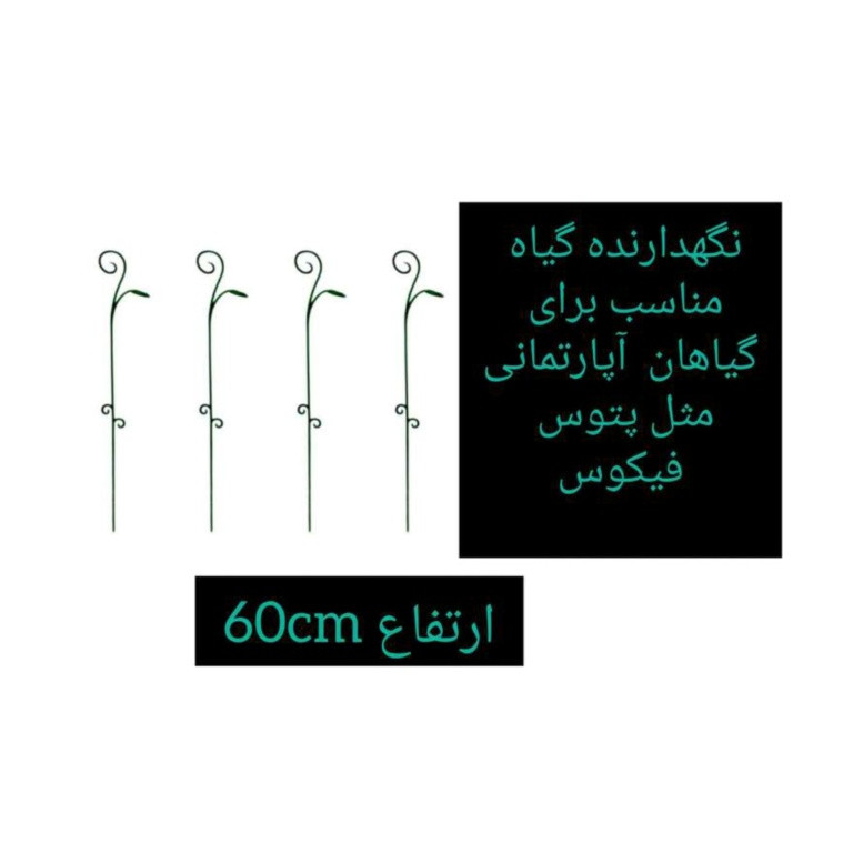 نگهدارنده گیاه مدل Abs بسته سه عددی نگهدارنده گیاه مدل Abs بسته سه عددی