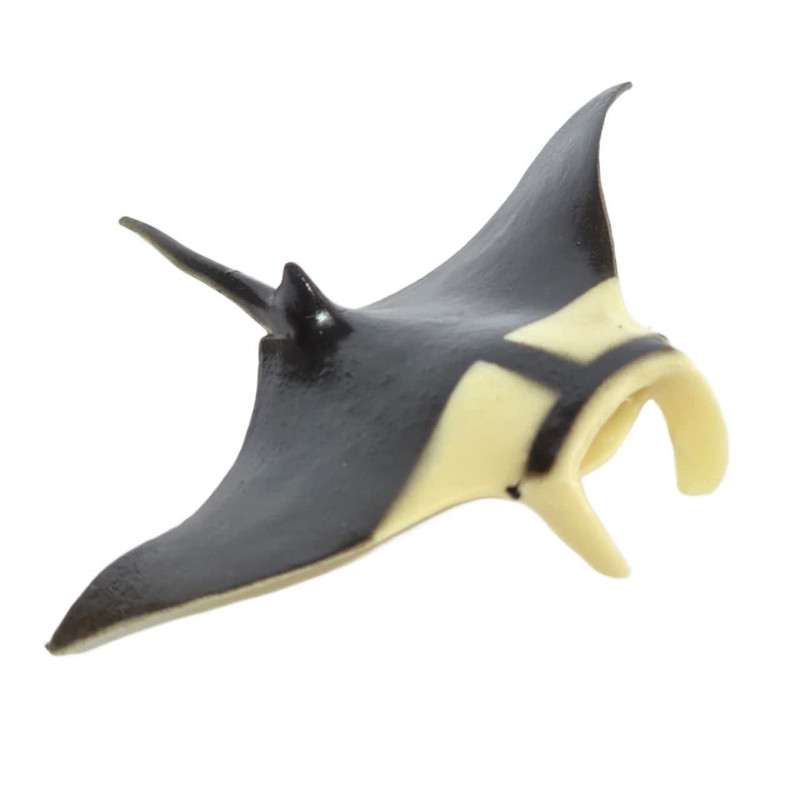 فیگور ناب سل مدل سفره ماهی کد DEVILRAYS NAAB035 ارتفاع 2 سانتی متر