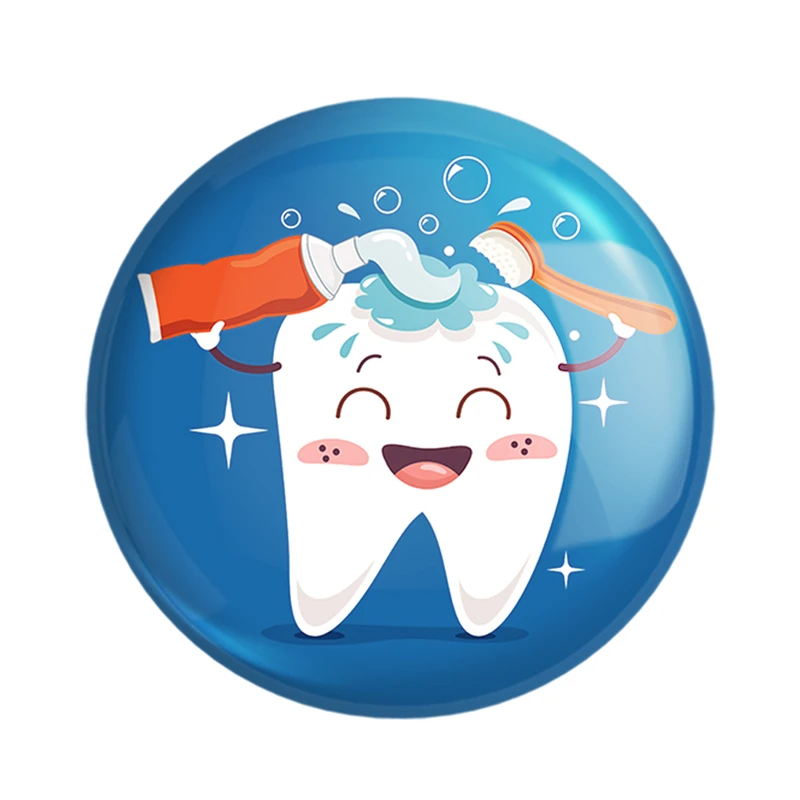 مگنت خندالو مدل دندان و دندان پزشکی کودکانه کد 36749