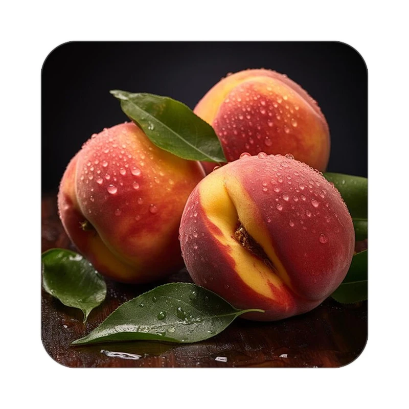 زیر لیوانی کاکتی طرح میوه مدل mp21723