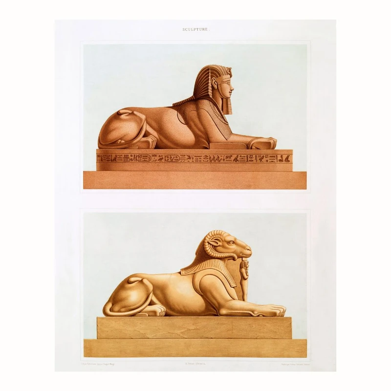 پوستر مدل  اندرواسفینکس و کریوسفینکس  