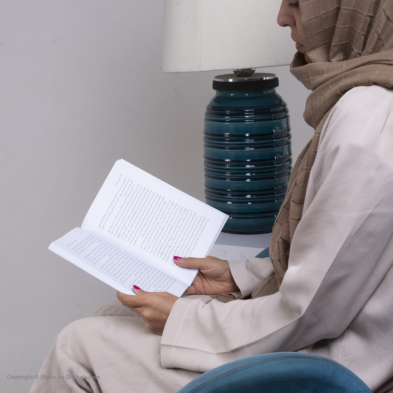 کتاب پیکان سرنوشت ما اثر مهدی خیامی نشر نی