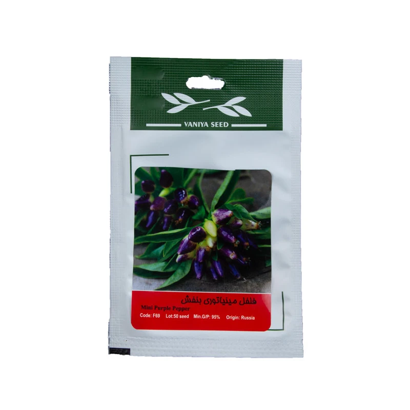 بذر فلفل مینیاتوری بنفش وانیا سید مدل BA1768