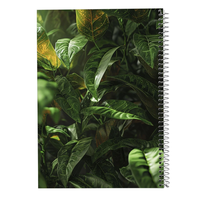 دفتر مشق 50 برگ مدوپد مدل برگ کد DF15571