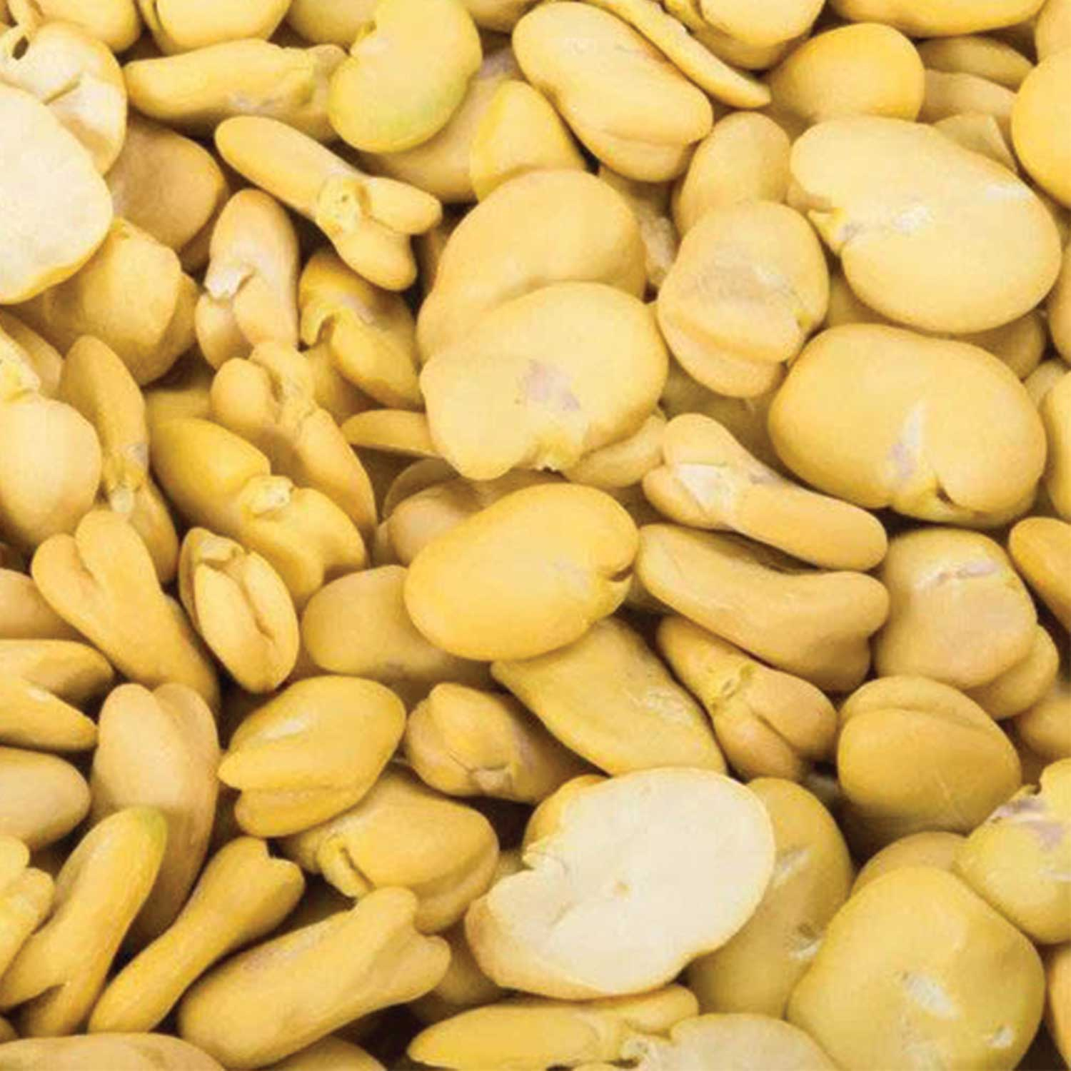 لپه باقالی ممتاز احمدی مارکت - 900 گرم