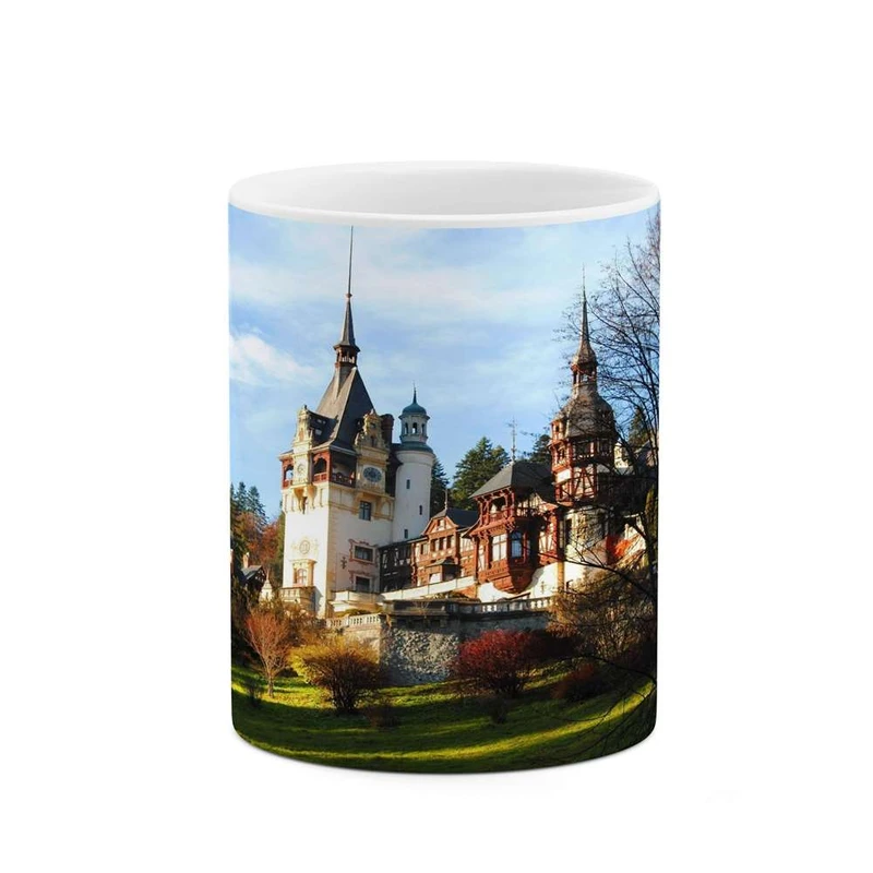 ماگ کاکتی مدل شهر کد mgh13335