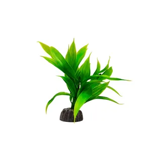 گیاه تزیینی آکواریوم کد 043
