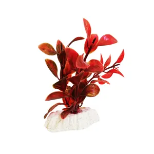 گیاه تزیینی آکواریوم کد 0044