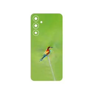 MAHOOT European bee-eater Cover Sticker for Samsung Galaxy A55