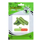بذر خیار بوته ای فصل سبز کد SEED-010