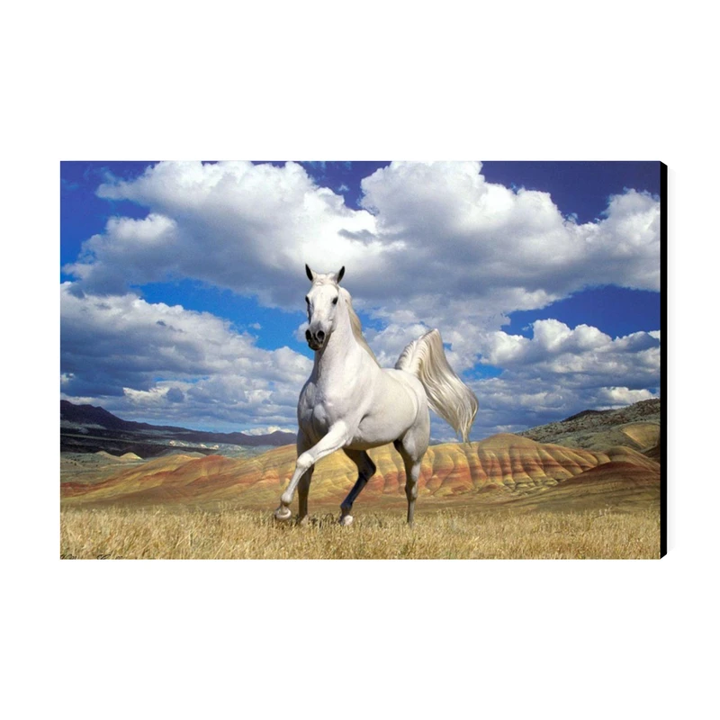 تابلو شاسی عرش مدل فانتزی اسب کد As3075