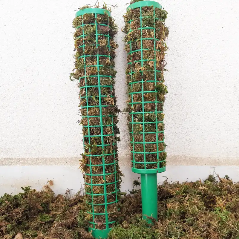 قیم بند مدل خزه دار کد 90cm