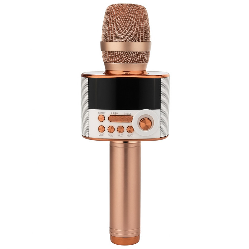 میکروفون اسپیکر بوناک مدل D10