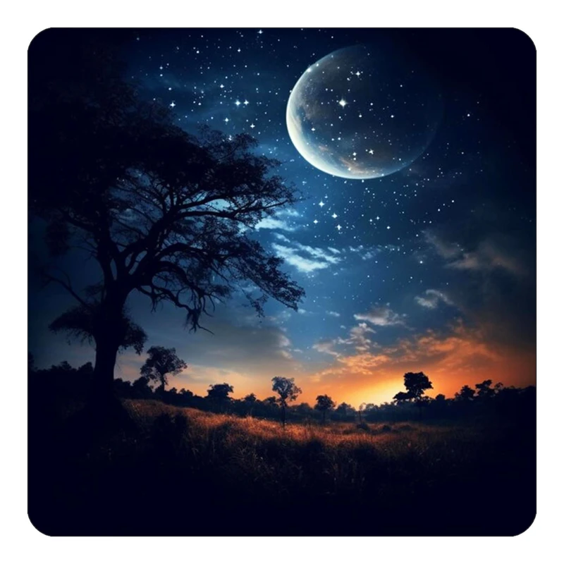 مگنت کاکتی طرح ماه و ستاره مدل mp50769