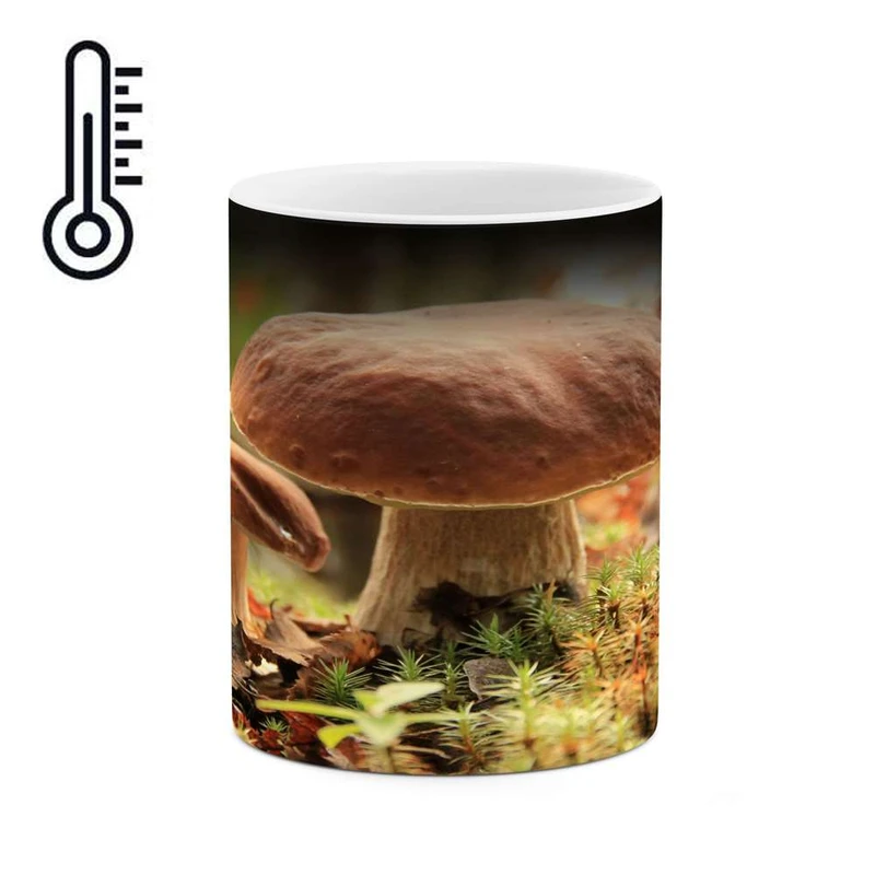 ماگ حرارتی کاکتی مدل قارچ کد mgh14089