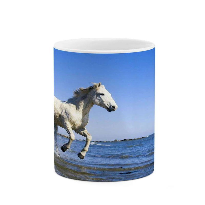 ماگ کاکتی مدل اسب کد mgh24326